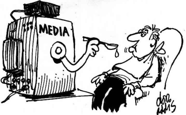 How does the media influence politics?